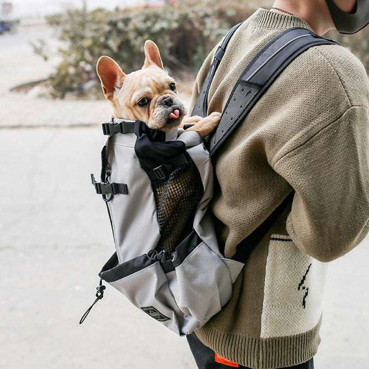 Dog's Travel Backpack - Laser League Crafts