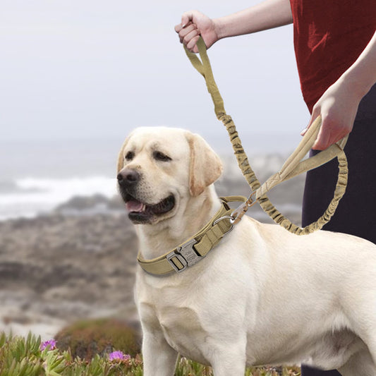 Nylon Dog's Collars - Laser League Crafts