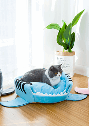 Shark SHAPE Pet Bed - Laser League Crafts