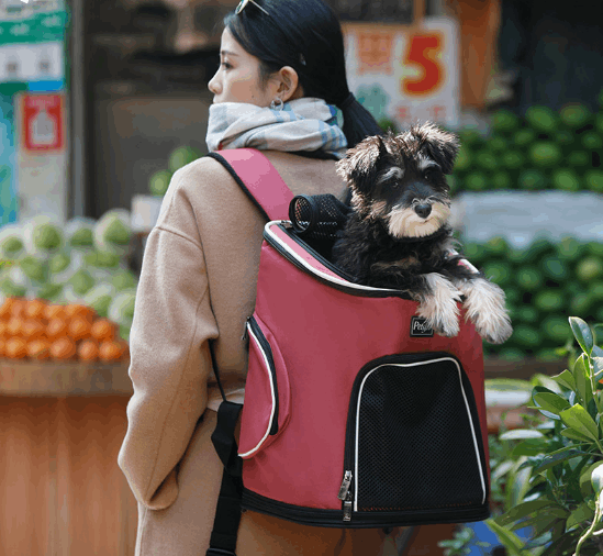 Pet Dog's Backpack - Laser League Crafts