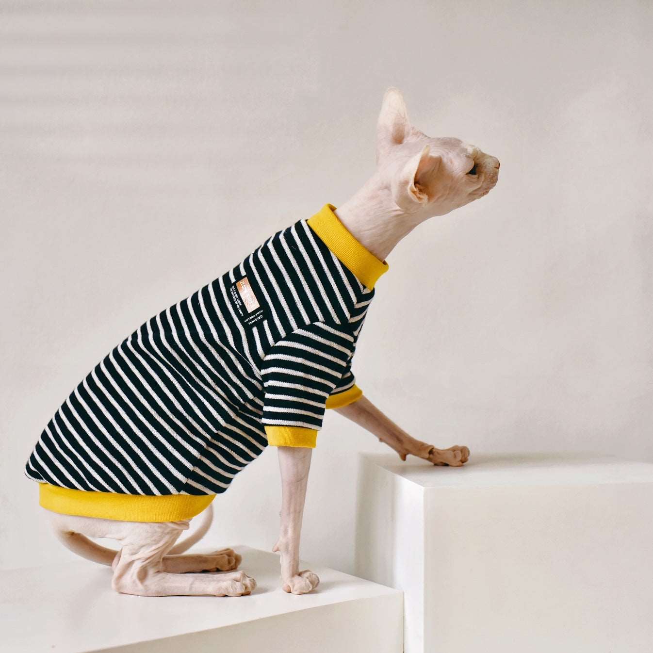 Hairless Cat Clothing - Laser League Crafts