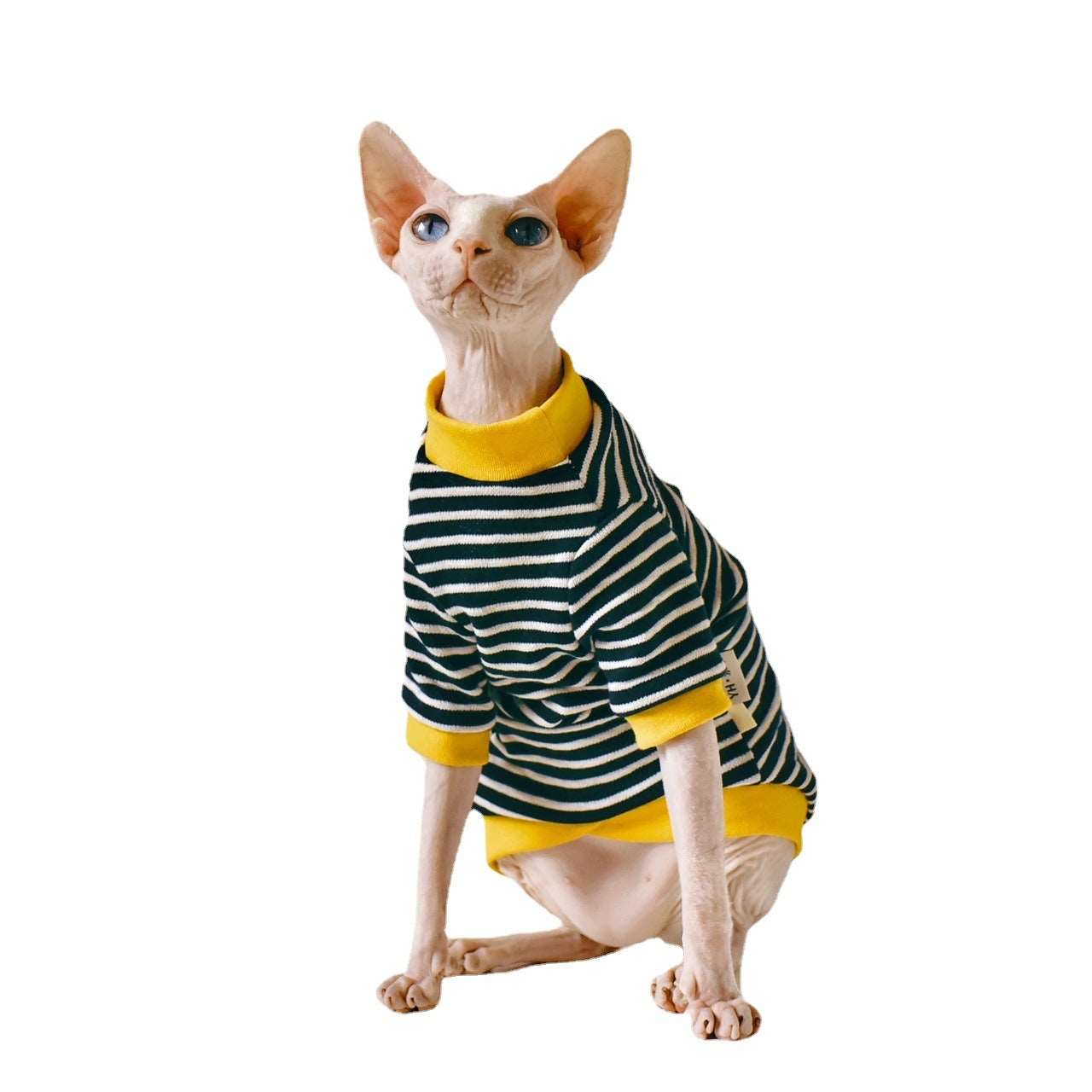 Hairless Cat Clothing - Laser League Crafts