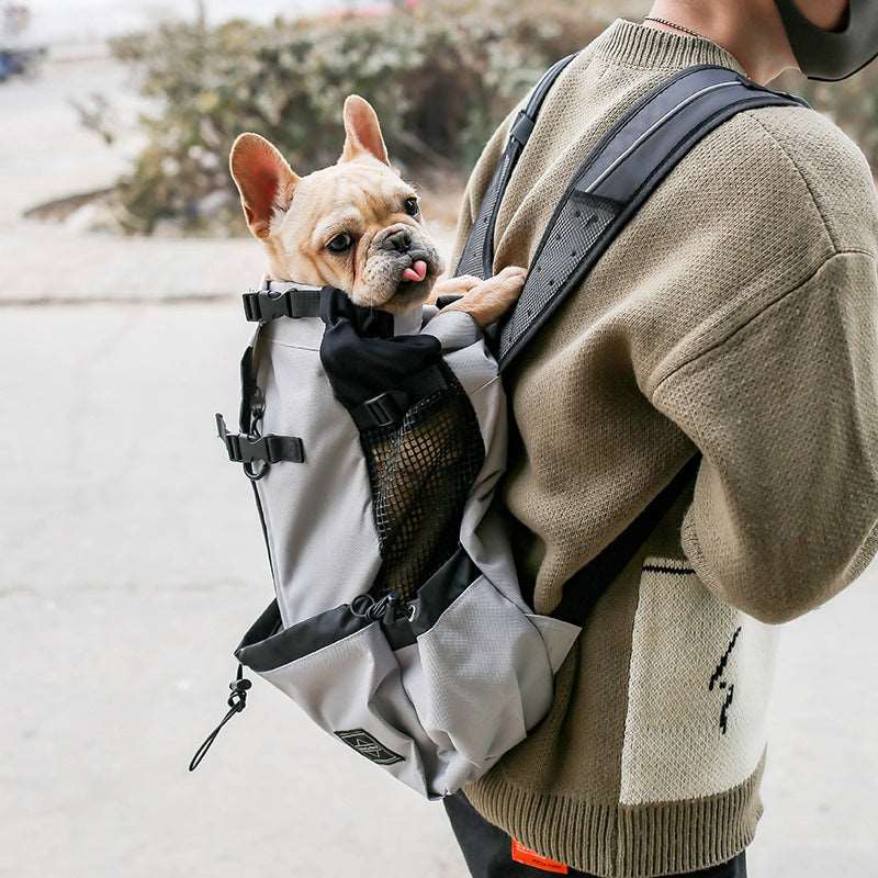 Dog's Travel Backpack - Laser League Crafts