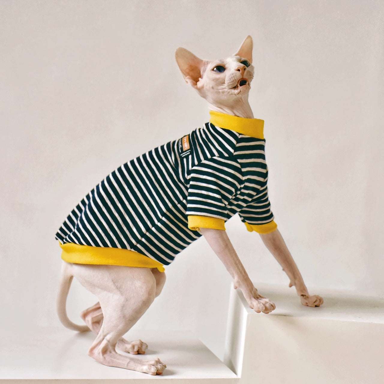 Hairless Cat Clothing - Laser League Crafts